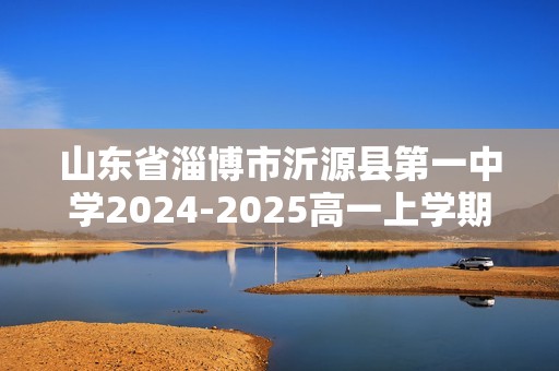 山东省淄博市沂源县第一中学2024-2025高一上学期期中考试化学试卷（答案）