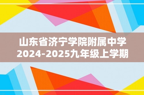 山东省济宁学院附属中学2024-2025九年级上学期11月期中考试化学试题（答案）