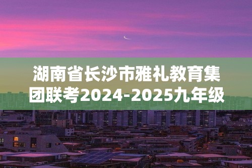 湖南省长沙市雅礼教育集团联考2024-2025九年级上学期12月质量检测三化学试题（答案）