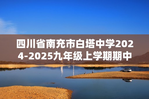 四川省南充市白塔中学2024-2025九年级上学期期中检测化学试题（答案）