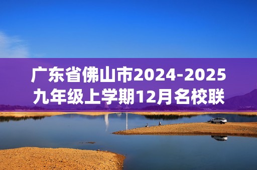 广东省佛山市2024-2025九年级上学期12月名校联考化学试卷(答案)