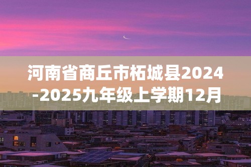 河南省商丘市柘城县2024-2025九年级上学期12月阶段性学情监测化学试卷(答案)