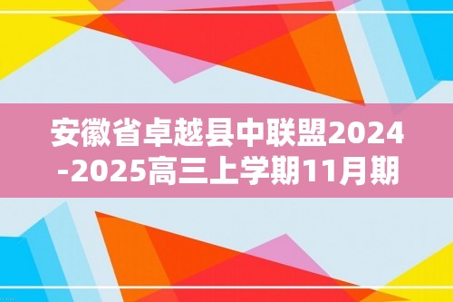 安徽省卓越县中联盟2024-2025高三上学期11月期中考试 化学试题（ 含答案）