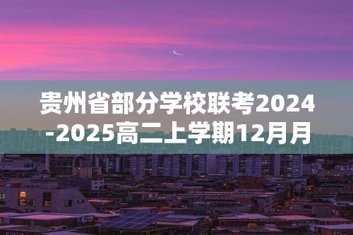 贵州省部分学校联考2024-2025高二上学期12月月考化学试题（图片版含答案）