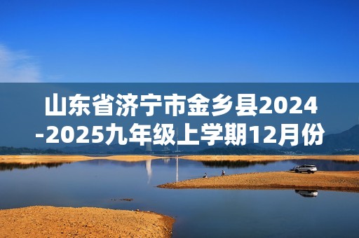 山东省济宁市金乡县2024-2025九年级上学期12月份学情监测化学试题（无答案）