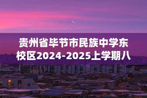 贵州省毕节市民族中学东校区2024-2025上学期八年级期中考试化学试卷(图片版,无答案)