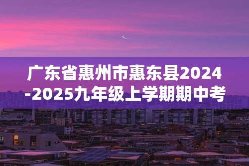 广东省惠州市惠东县2024-2025九年级上学期期中考试化学试题