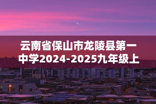 云南省保山市龙陵县第一中学2024-2025九年级上学期11月期中考试化学试题