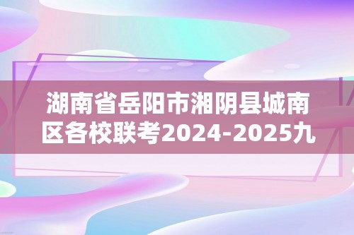 湖南省岳阳市湘阴县城南区各校联考2024-2025九年级上学期11月期中化学试题