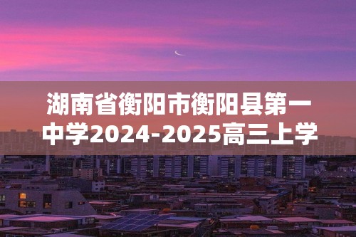 湖南省衡阳市衡阳县第一中学2024-2025高三上学期第一次模拟考试化学试题（答案）