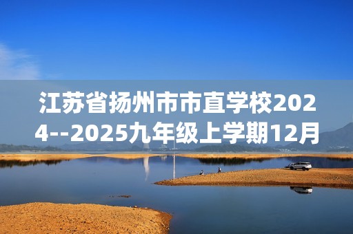 江苏省扬州市市直学校2024--2025九年级上学期12月月考化学试卷(答案)