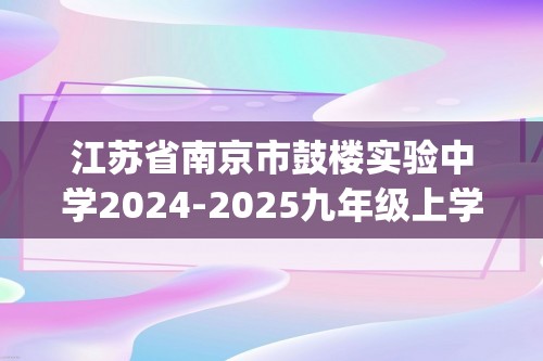 江苏省南京市鼓楼实验中学2024-2025九年级上学期12月月考化学试卷（图片版含答案)