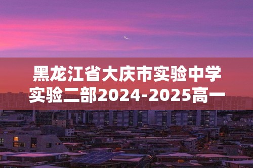 黑龙江省大庆市实验中学实验二部2024-2025高一上学期期中考试化学试卷 （答案）