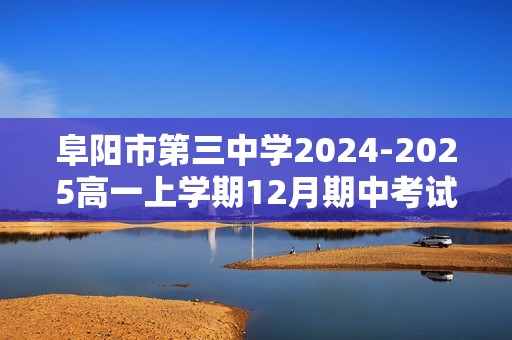 阜阳市第三中学2024-2025高一上学期12月期中考试化学试卷 （图片版含答案）