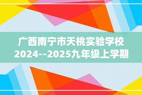 广西南宁市天桃实验学校2024--2025九年级上学期12月月考化学试卷(图片版,含答案)