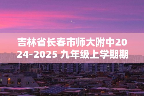 吉林省长春市师大附中2024-2025 九年级上学期期末复习化学综合试卷（二）