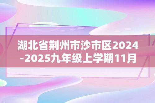 湖北省荆州市沙市区2024-2025九年级上学期11月期中考试化学试题