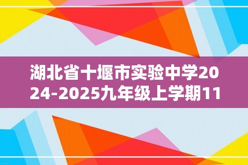 湖北省十堰市实验中学2024-2025九年级上学期11月期中考试化学试题