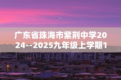 广东省珠海市紫荆中学2024--2025九年级上学期11月期中化学试题