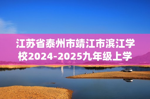 江苏省泰州市靖江市滨江学校2024-2025九年级上学期12月月考化学试题(无答案)