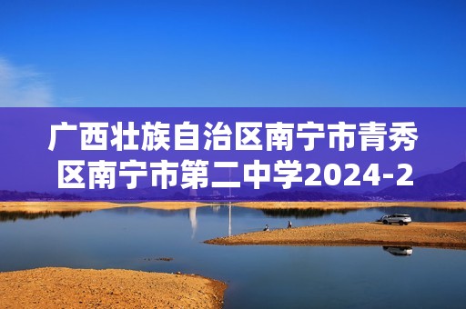 广西壮族自治区南宁市青秀区南宁市第二中学2024-2025高一上学期12月月考化学试题（图片版含答案）