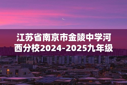 江苏省南京市金陵中学河西分校2024-2025九年级上学期12月化学限时训练（图片版无答案）