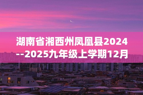 湖南省湘西州凤凰县2024--2025九年级上学期12月学情诊断化学试卷(答案)