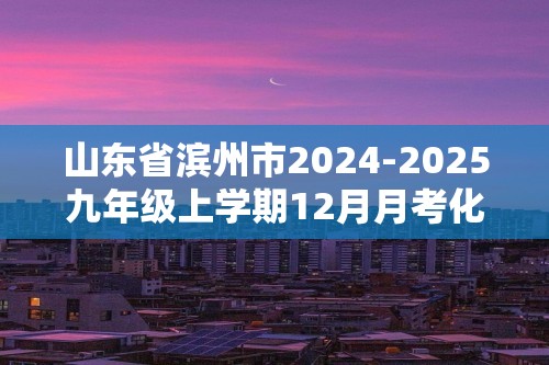 山东省滨州市2024-2025九年级上学期12月月考化学试题（图片版,含答案）