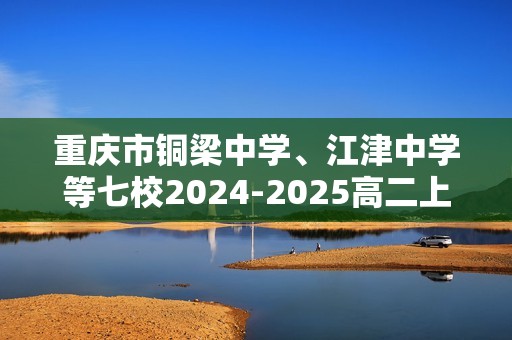 重庆市铜梁中学、江津中学等七校2024-2025高二上学期12月半期联考化学试卷（答案）