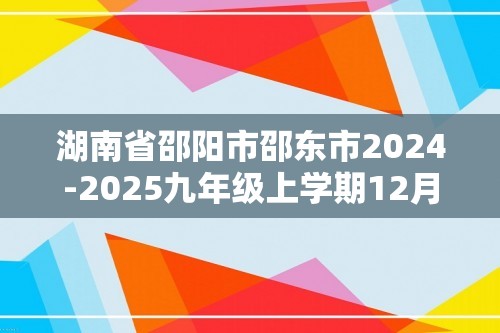 湖南省邵阳市邵东市2024-2025九年级上学期12月月考化学试题（图片版,含答案）