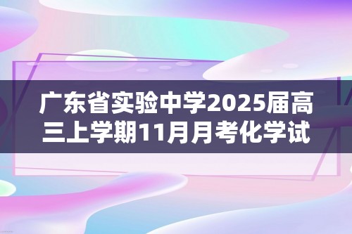 广东省实验中学2025届高三上学期11月月考化学试题（答案）