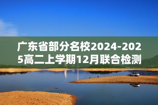 广东省部分名校2024-2025高二上学期12月联合检测化学试题（图片版含答案）