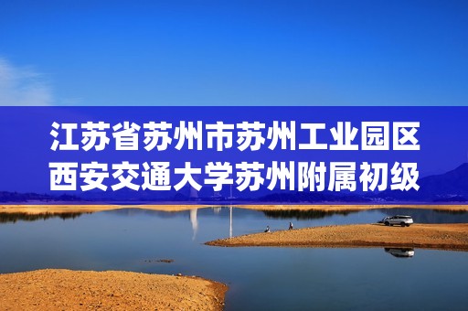 江苏省苏州市苏州工业园区西安交通大学苏州附属初级中学2024-2025九年级上学期12月月考化学试卷(图片版,无答案)