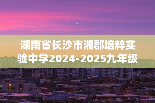 湖南省长沙市湘郡培粹实验中学2024-2025九年级上学期第三次月考化学试卷(图片版,无答案)