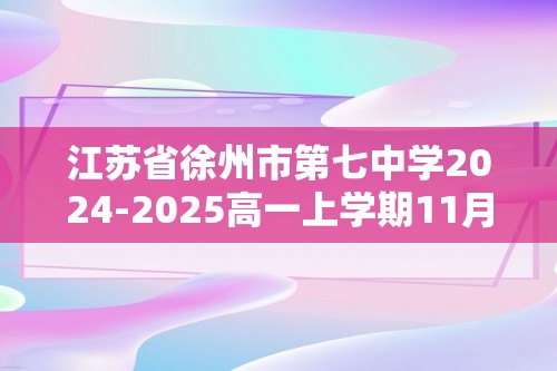 江苏省徐州市第七中学2024-2025高一上学期11月期中考试化学试卷（答案）