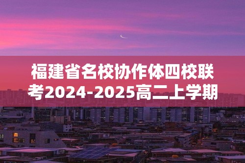 福建省名校协作体四校联考2024-2025高二上学期11月期中考试化学试卷（答案）