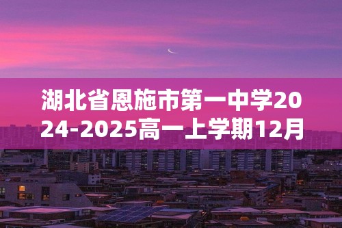 湖北省恩施市第一中学2024-2025高一上学期12月月考化学试卷 （答案）