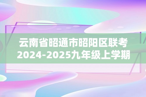 云南省昭通市昭阳区联考2024-2025九年级上学期12月月考化学试题（图片版含答案）