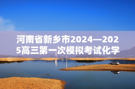 河南省新乡市2024—2025高三第一次模拟考试化学试题（答案）