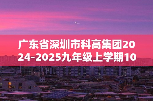 广东省深圳市科高集团2024-2025九年级上学期10月月考化学试题