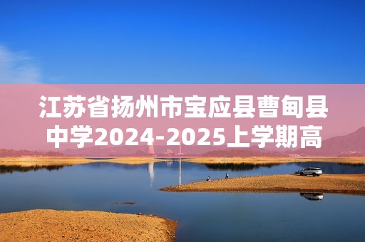 江苏省扬州市宝应县曹甸县中学2024-2025上学期高二期中考试生物试题（无答案）