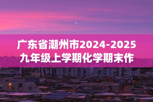 广东省潮州市2024-2025九年级上学期化学期末作业质量评价模拟练习(答案)