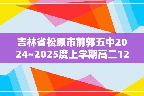 吉林省松原市前郭五中2024~2025度上学期高二12月份教学质量检测   化学试卷（含解析）