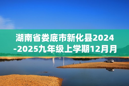 湖南省娄底市新化县2024-2025九年级上学期12月月考化学试题(答案)