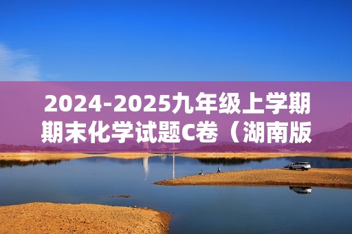 2024-2025九年级上学期期末化学试题C卷（湖南版）