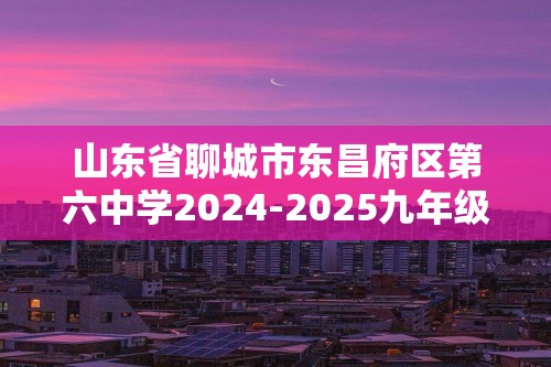 山东省聊城市东昌府区第六中学2024-2025九年级上学期化学第二次月考试卷（图片版含答案）