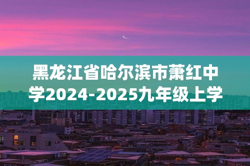 黑龙江省哈尔滨市萧红中学2024-2025九年级上学期化学11月月考试卷(图片版,含答案)