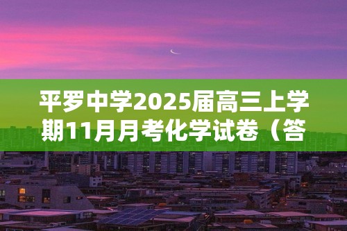 平罗中学2025届高三上学期11月月考化学试卷（答案）