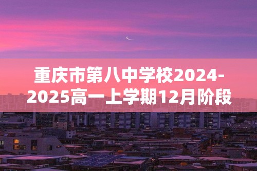 重庆市第八中学校2024-2025高一上学期12月阶段性测试化学试卷（图片版含答案）