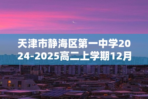 天津市静海区第一中学2024-2025高二上学期12月月考化学试卷（答案）